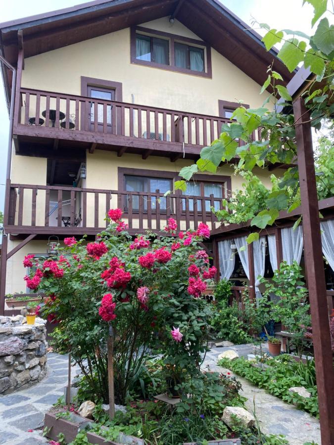 מלון סולינה Casa Donau Delta מראה חיצוני תמונה