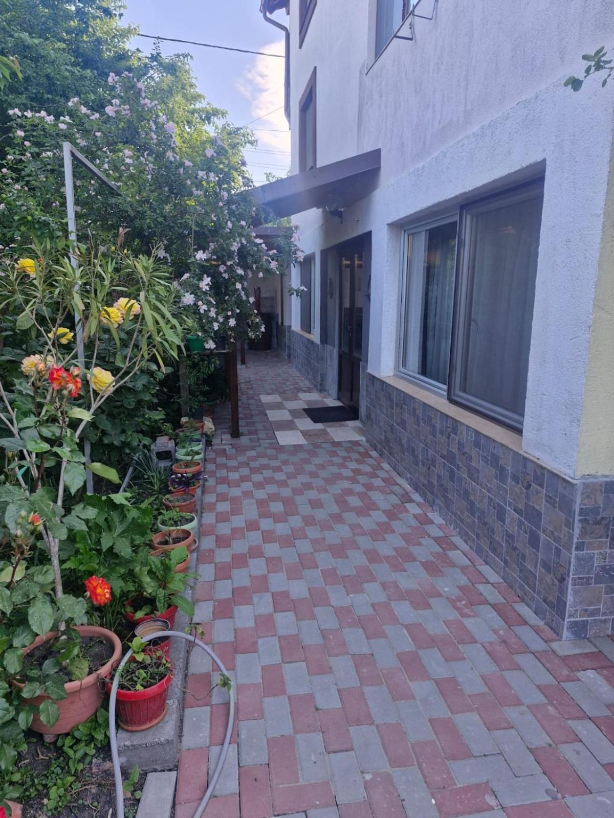 מלון סולינה Casa Donau Delta מראה חיצוני תמונה